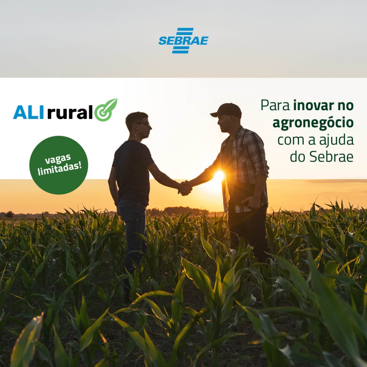 WhatsApp Image 2025-08-12 at 11.14.35