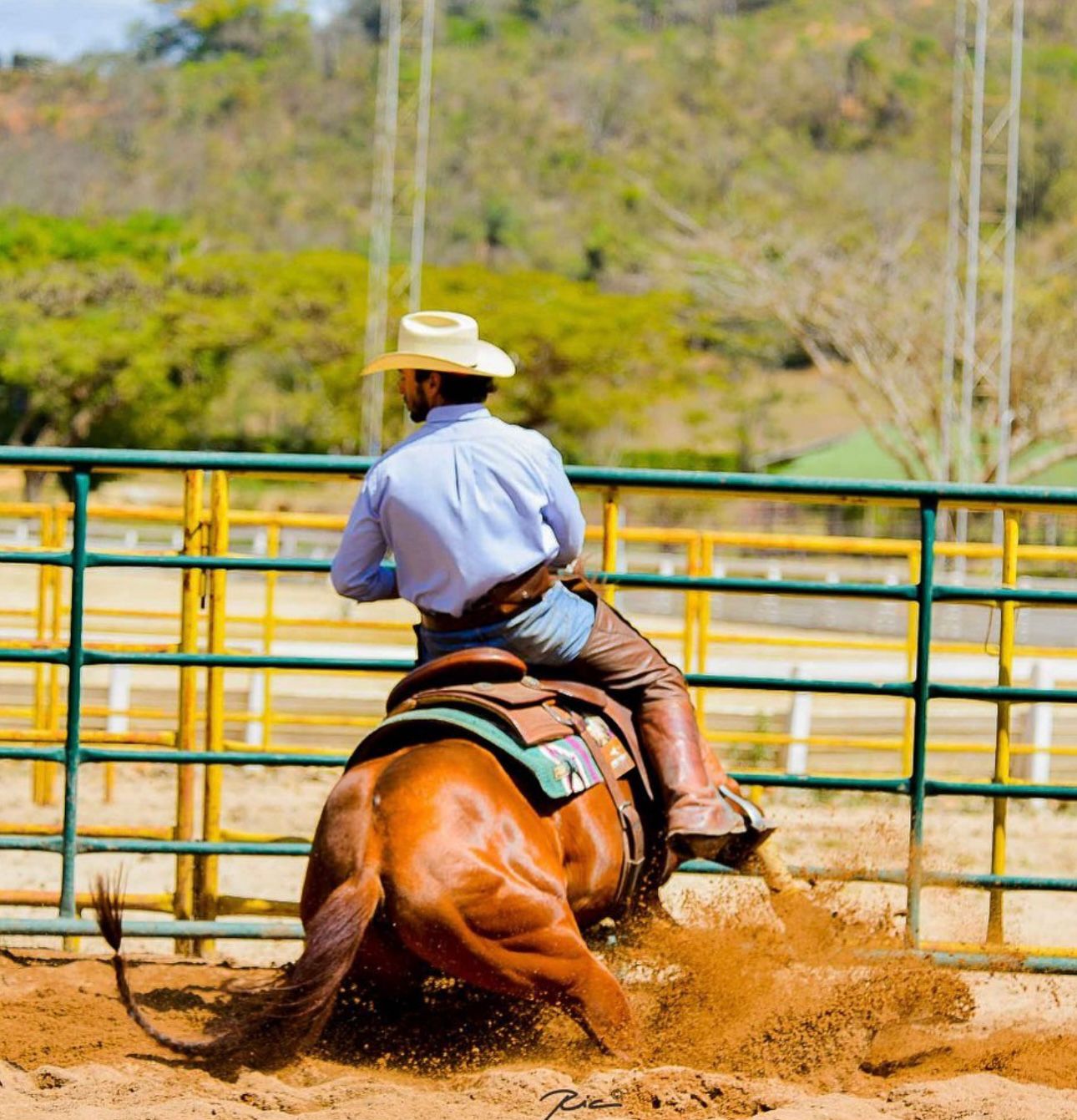 WhatsApp Image 2025-09-02 at 17.31.13 (4)