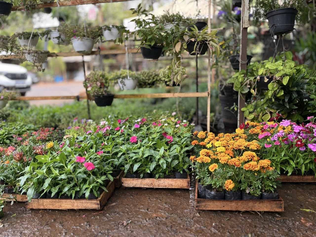 WhatsApp Image 2025-09-15 at 17.37.40