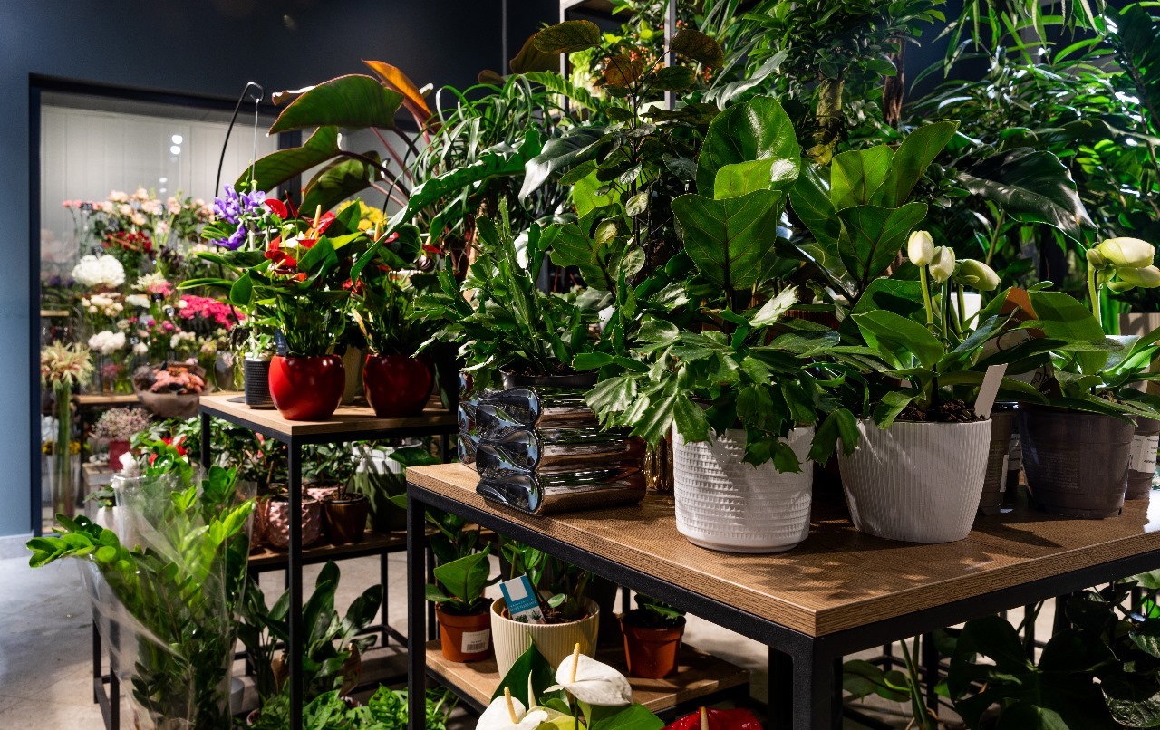 WhatsApp Image 2025-10-29 at 15.57.48