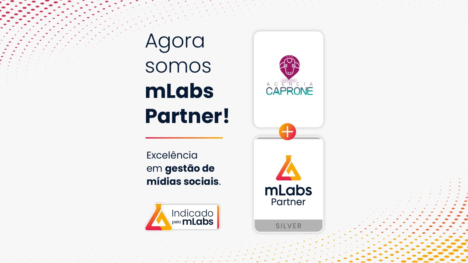 WhatsApp Image 2025-11-11 at 13.49.10